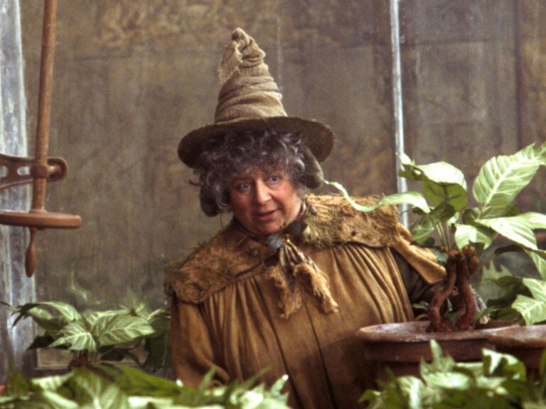 Miriam Margolyes como a Professora Sprout em Harry Potter