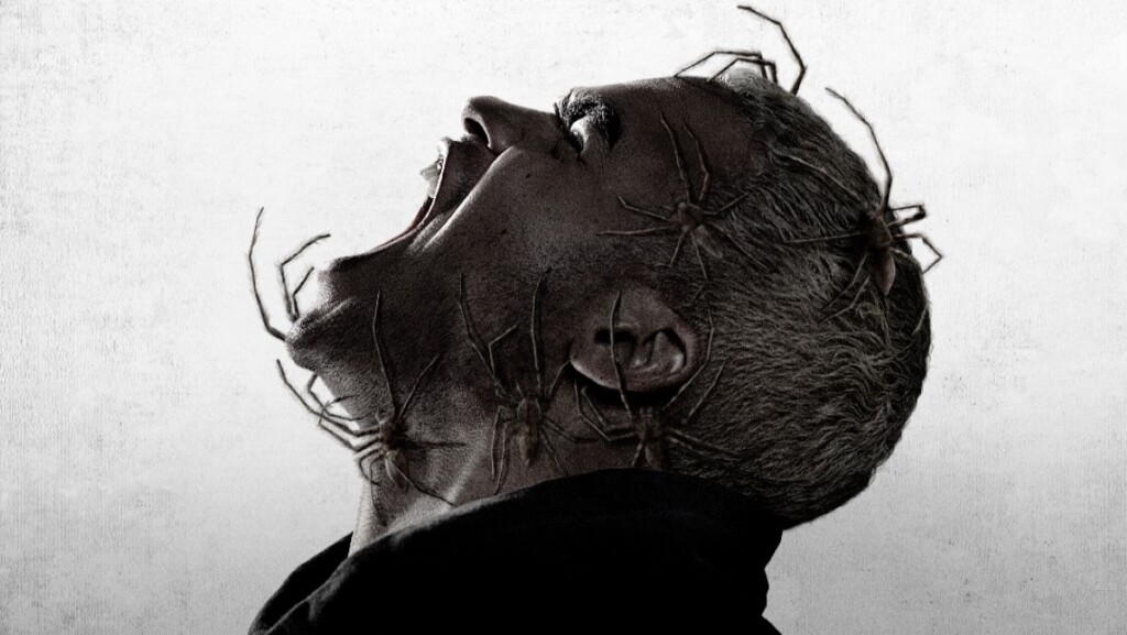 Infestação Infestação