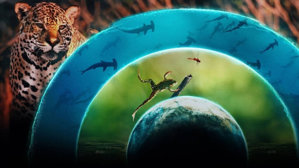 Planeta Vivo é o novo documentário da Netflix