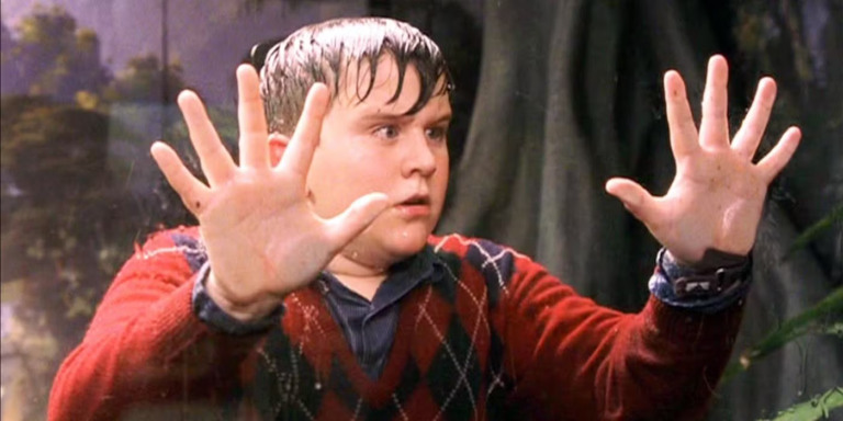 Série de Harry Potter pode finalmente fazer justiça a personagem após 14 anos