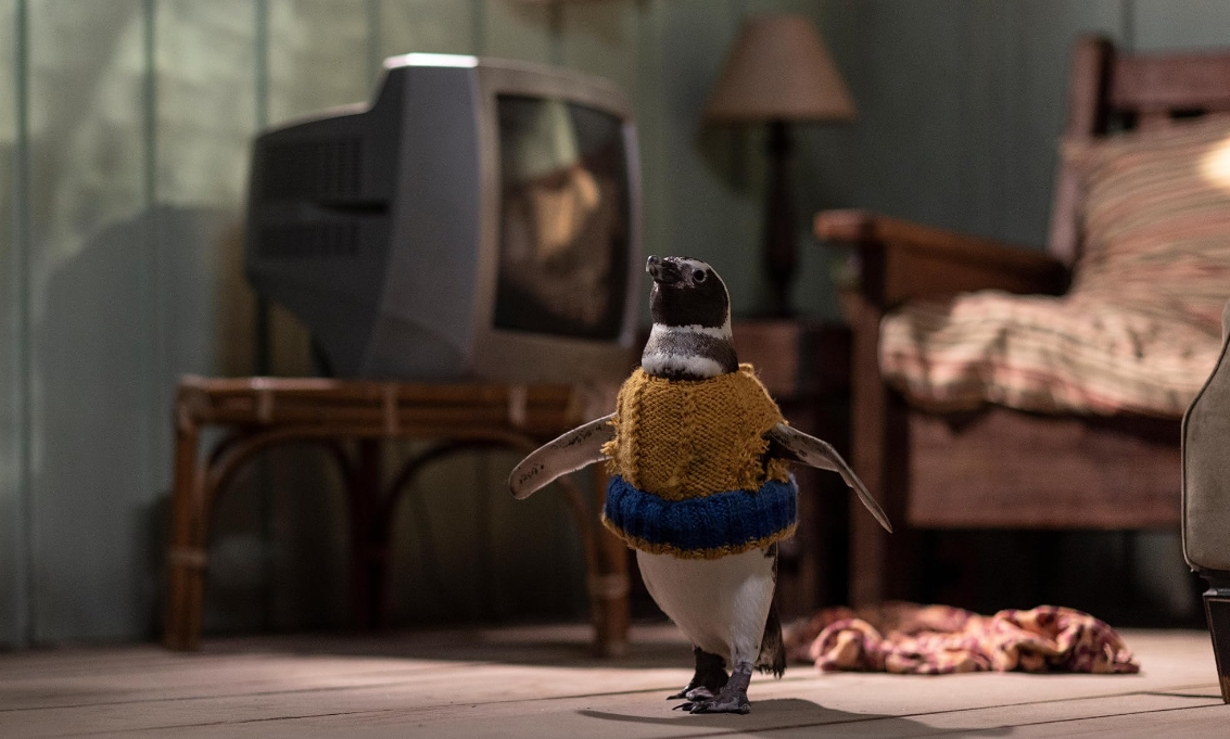 Meu Amigo Pinguim Meu Amigo Pinguim