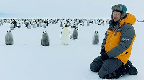 Segredos dos Pinguins 