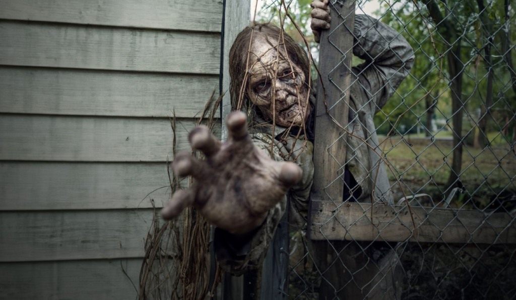 The Walking Dead está na Netflix e Disney+