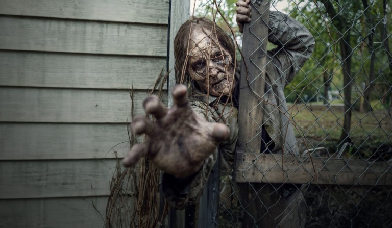 The Walking Dead está na Netflix e Disney+