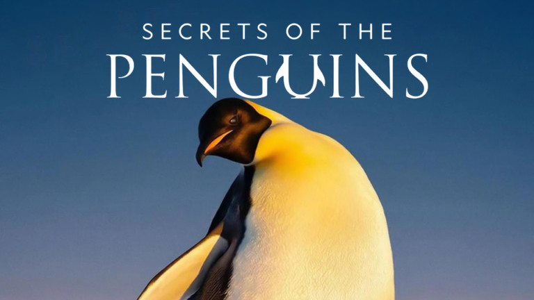 Segredos dos Pinguins 
