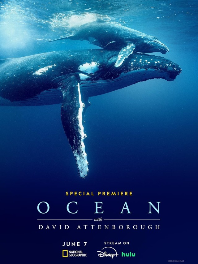Oceanos com David Attenborough