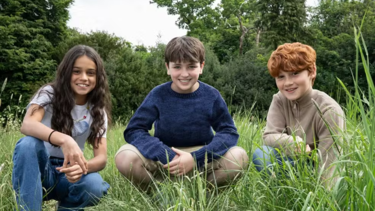 Trio principal de Harry Potter: Hermione, Harry e Ron