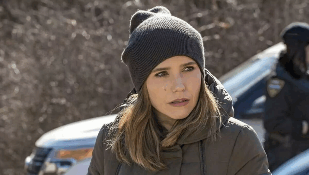 As condições climáticas extremas em Chicago afetaram não só Sophia Bush, mas toda a equipe da série